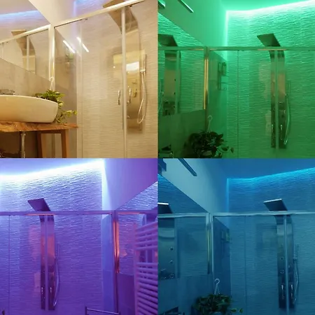 Pisetzky-spadaro - Vegezio *